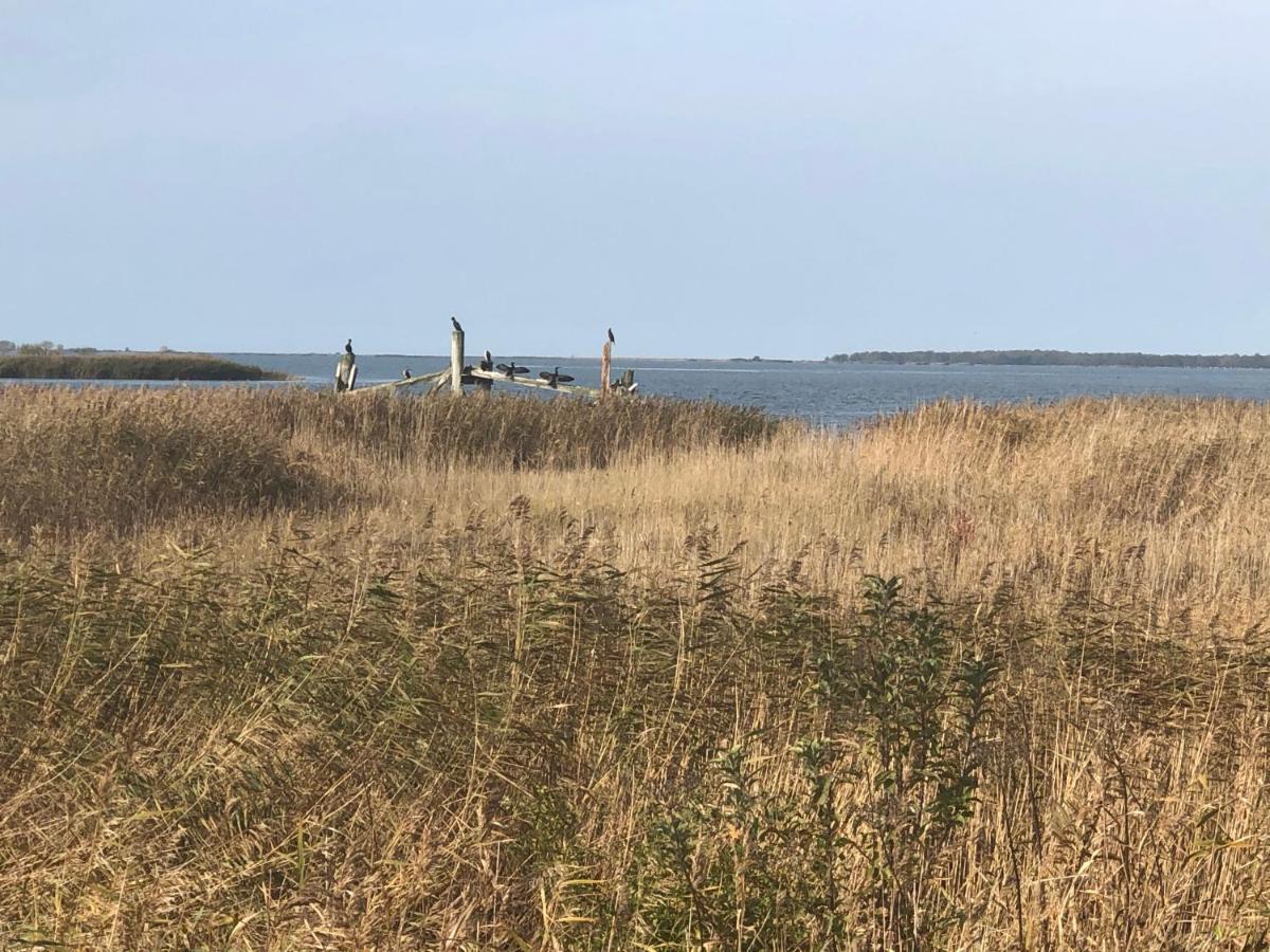 Ferienwohnung Leuchtfeuer Peenemunde Bagian luar foto
